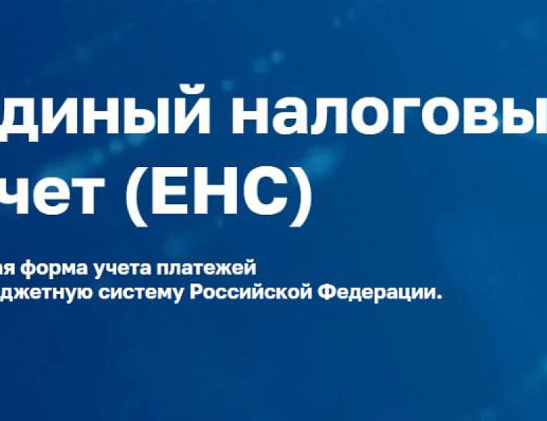 Разобраться с уплатой налогов на ЕНС поможет специальный сервис ФНС