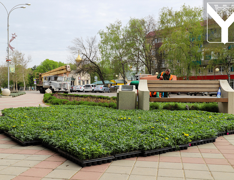 Продолжаем работы по озеленению Усть-Лабинска